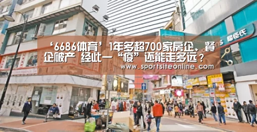 6686体育直播