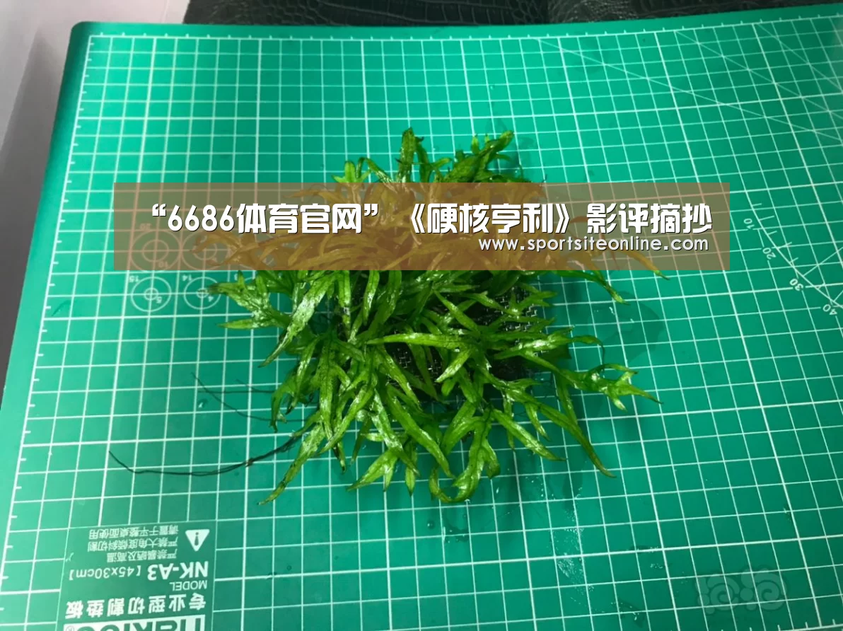 6686体育app