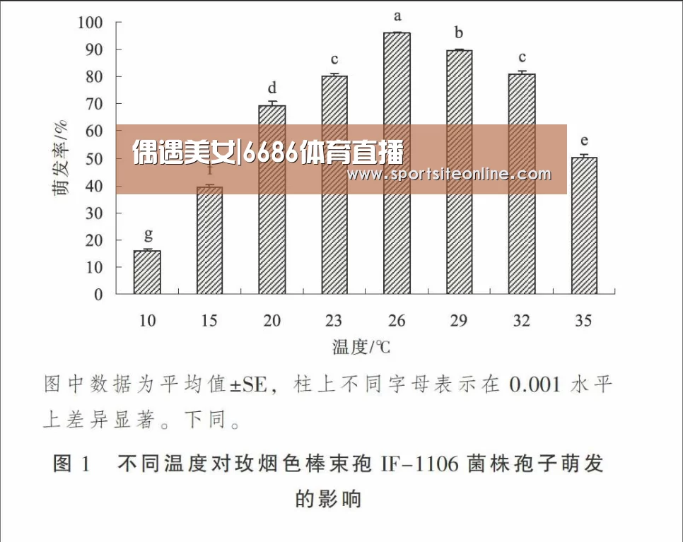 偶遇美女|6686体育直播