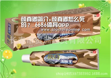 颜真卿简介,颜真卿怎么死的?_6686体育app(图2) 6686体育官网