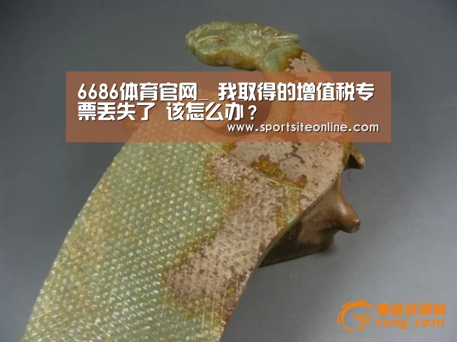 6686体育官网_
我取得的增值税专票丢失了 该怎么办？