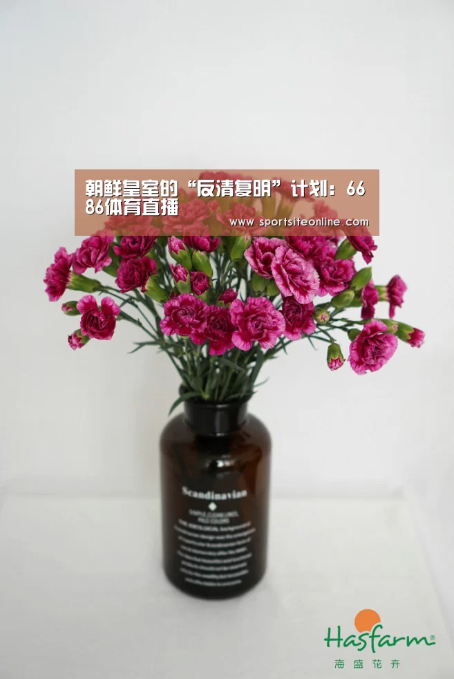 朝鲜皇室的“反清复明”计划:6686体育直播(图2) 6686体育官网