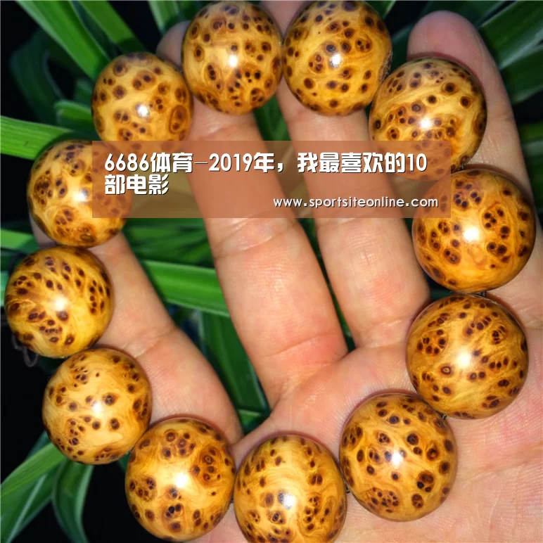 6686体育-2019年，我最喜欢的10部电影